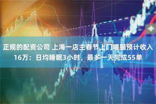 正规的配资公司 上海一店主春节上门喂猫预计收入16万：日均睡眠3小时，最多一天完成55单