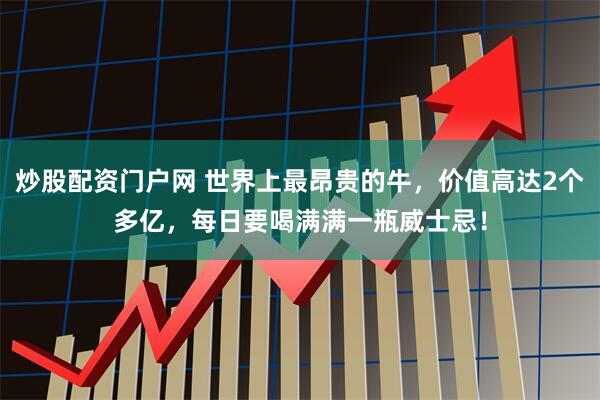 炒股配资门户网 世界上最昂贵的牛，价值高达2个多亿，每日要喝满满一瓶威士忌！