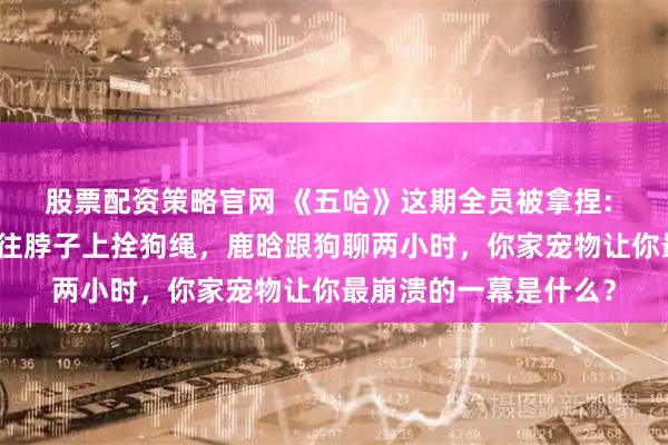 股票配资策略官网 《五哈》这期全员被拿捏: 李小冉被气哭？邓超往脖子上拴狗绳，鹿晗跟狗聊两小时，你家宠物让你最崩溃的一幕是什么？