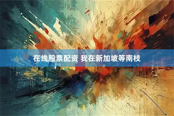 在线股票配资 我在新加坡等南枝
