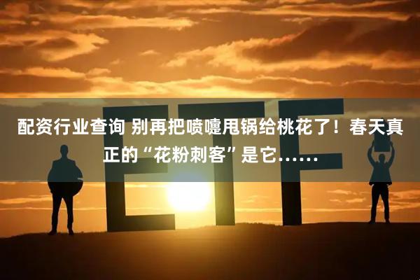 配资行业查询 别再把喷嚏甩锅给桃花了！春天真正的“花粉刺客”是它……