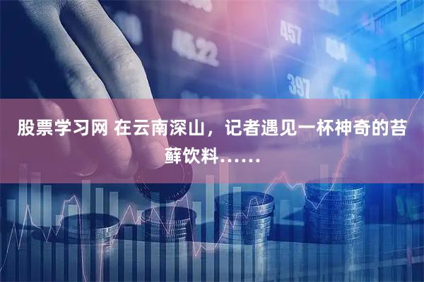 股票学习网 在云南深山，记者遇见一杯神奇的苔藓饮料……